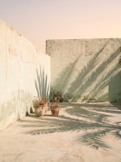 Palm Shadow — Hard midday sun through fronds onto a bleached wall.